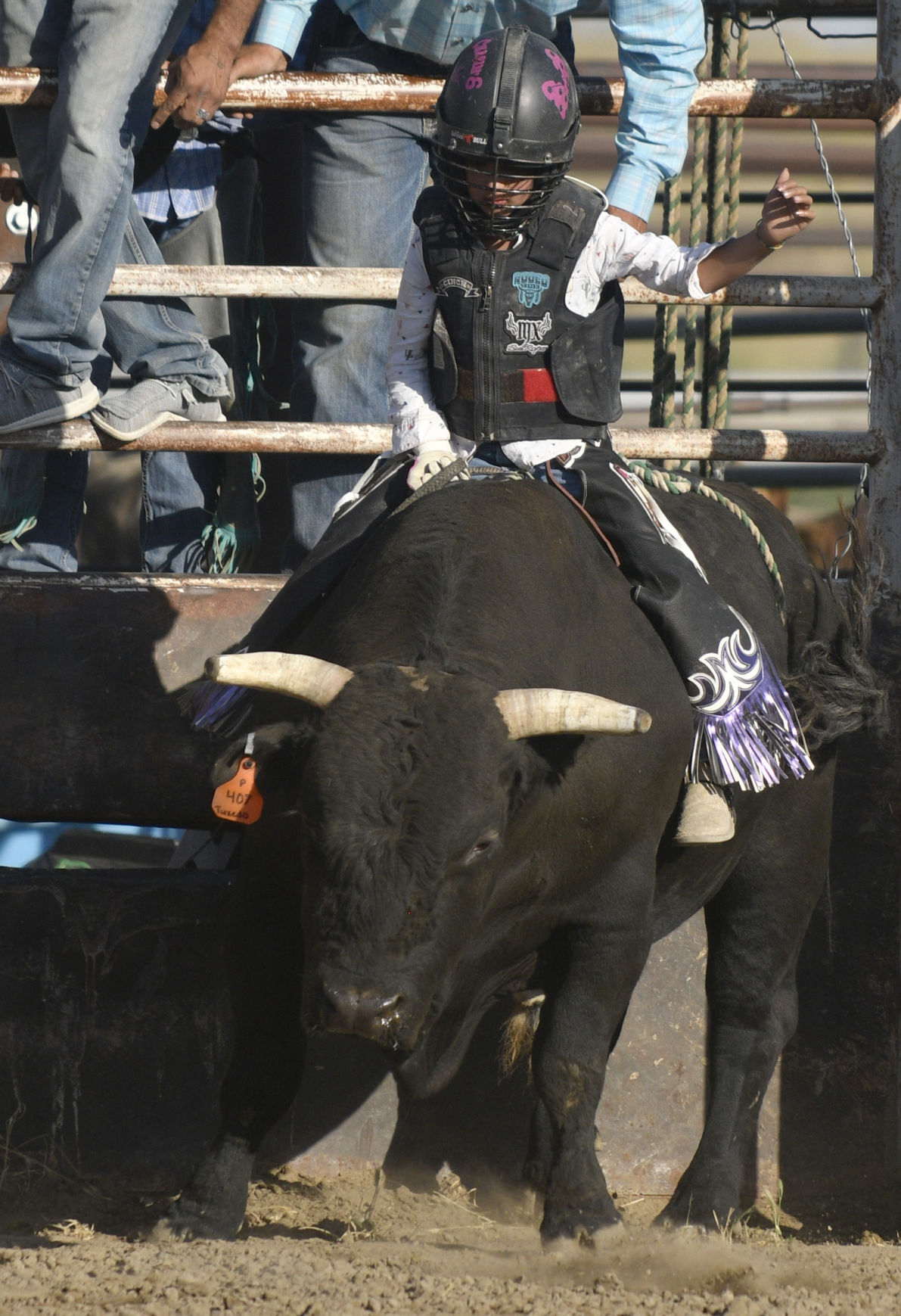 Lincoln County Mini Bull Riding